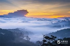 紫微斗数大限宫无星的深层解析与影响