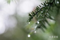 解读水星在第五宫逆行的影响及修正方法