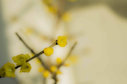 8-1P125111A0415.jpg