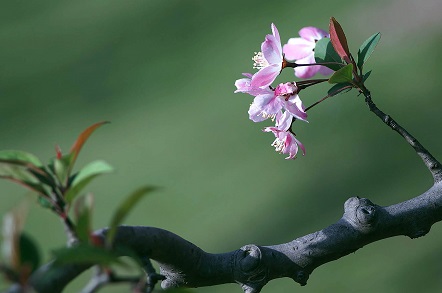 8-1P40311164DE.jpg