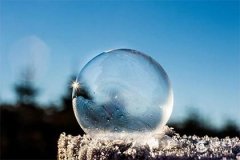 2025年出生木蛇年：五大星座运势最佳解析