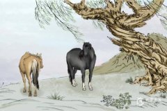 属马人不宜养植植物指南：招财旺运需避开