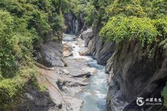 紫微斗数七杀星：属性影响与应用详解