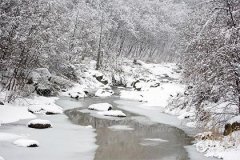 大门朝东住宅风水：坐西朝东的吉凶宜忌解析