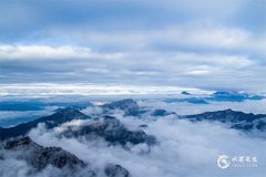 2025年属兔大发横财，2025属兔最忌四种东西