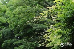 农历7月14出生的女孩命运之路