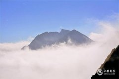 2025木蛇年火命宝宝：取名指南与五行命理