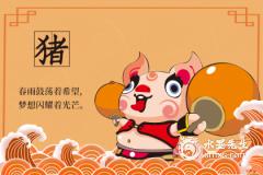 属猪的人用什么微信头像会带来好运，用什么头像最好最吉利？