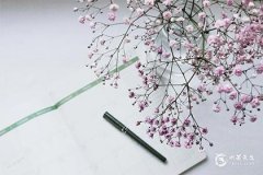 2024犯太岁的生肖有哪些？2024年什么生肖犯太岁？