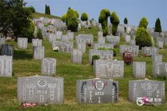 上坟必备三种水果 坟地出贵人的预兆