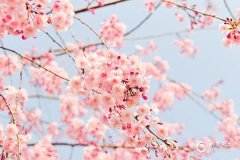 2025年高速免费时间表公布日期