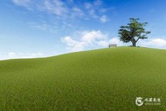 办公桌上4大风水禁忌解析