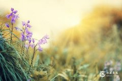2024年农历十月提车黄道吉日查询表