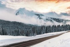 泰山石不用了可以随便扔吗？处理泰山石的正确方法