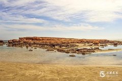 大门朝东应该选什么颜色：风水布局与色彩选择