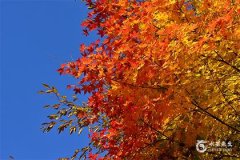 48岁本命年的大忌，48岁本命年的吉祥物有哪些？