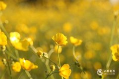 2025年火蛇女宝宝起名：吉祥好听名字精选