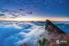 摩羯最难熬的一年2025年，摩羯最讨厌5个星座