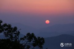 71年属猪女性：命里儿子数量与命运解析