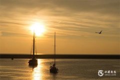 2024年冲太岁的属相是哪个？犯太岁要注意什么？