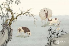 属羊人不能种什么植物？属羊人旺财植物推荐