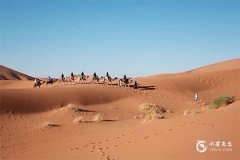 属龙2024年生孩子好吗？几月出生的属龙人最有福气？几月出生的属龙人最有福气