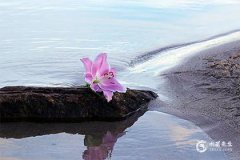大门朝东前面有墙：卧室风水与家庭和谐