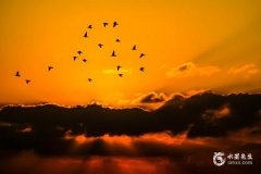 太阴在官禄宫是什么意思 官禄宫太阴代表什么