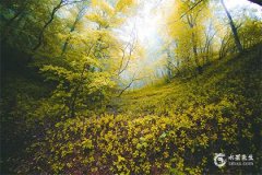 2024年什么生肖冲太岁？犯太岁可以搬家吗？