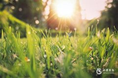 2023年7月8日是黄道吉日吗 7月8日时辰吉凶