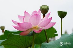 2025年犯太岁的属相有哪几个？提前知晓规避不利