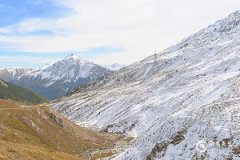 观音竹最忌三种属相与风水摆放指南