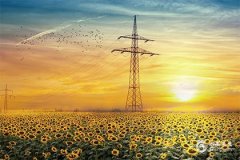龙年2024年的运势怎么样？本命年的属龙人需如何规避凶运？