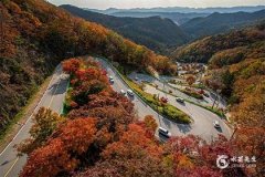 2024年犯太岁怎么办？2024年什么属相害太岁？