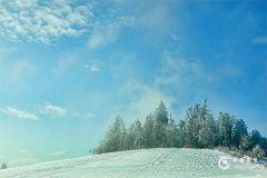 白羊座女生性格特点以及弱点详解
