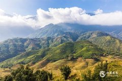 选泰山石哪种好：家居装饰与风水的完美结合