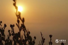 2025年大年初一春节喜神方位查询与风水指南