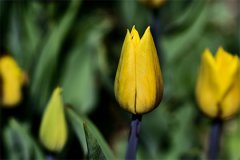 小满节气是几月几日