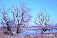 水星在第九宫逆行如何化解桃花运不顺