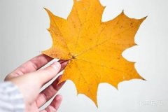 土星在第五宫逆行意味着什么，婚姻关系面临何种挑战