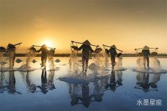 狮子座的桃花运是谁