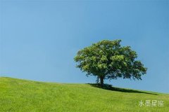 解读海王星在第八宫逆行的家庭关系挑战及对策